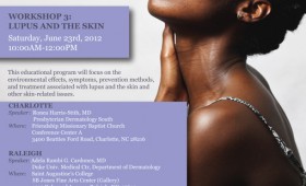 Lupus Workshop Series