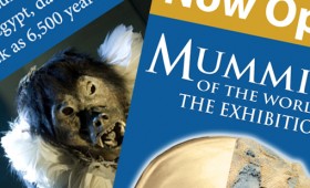 Discovery Place/ Mummies of the World